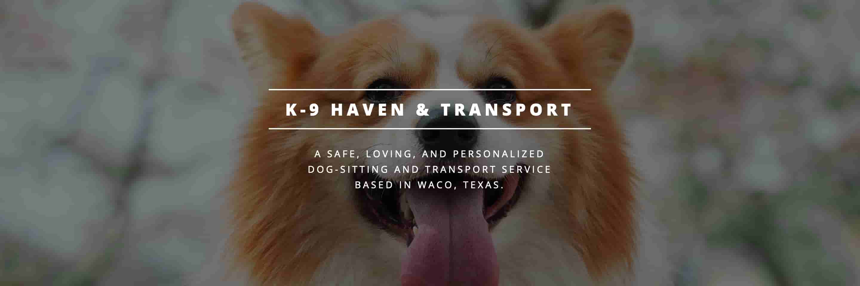 A screenshot of the landing page to K9 Haven.